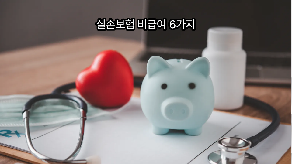 실손보험 비급여 6가지 1 실손보험 비급여 6가지
