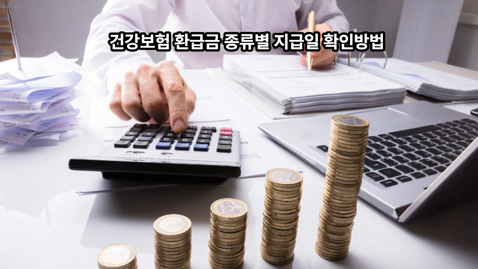 건강보험 환급금 종류별 지급일 확인방법