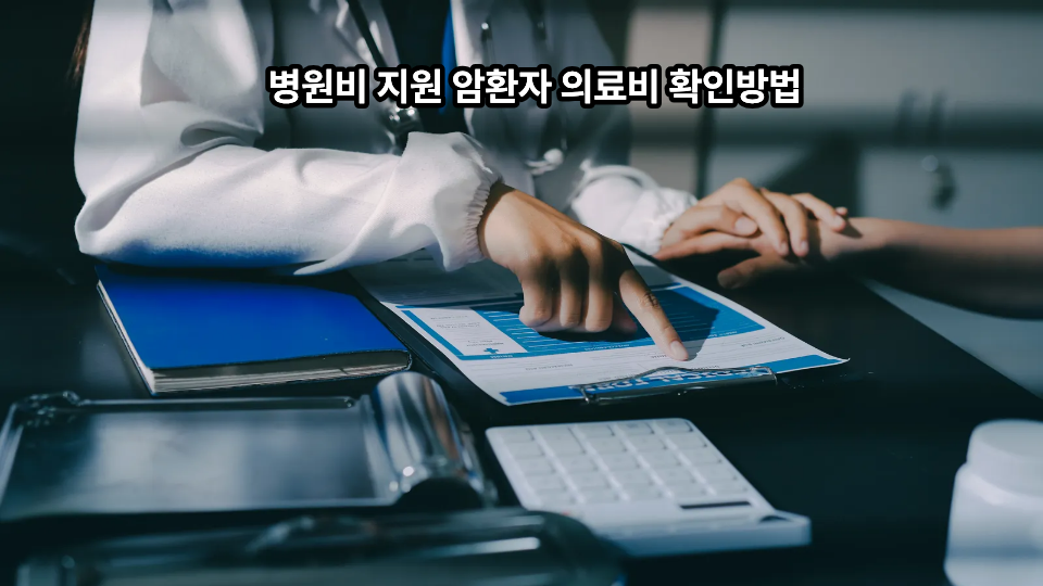 병원비 지원 암환자 의료비 확인방법 1 병원비 지원 암환자 의료비 확인방법